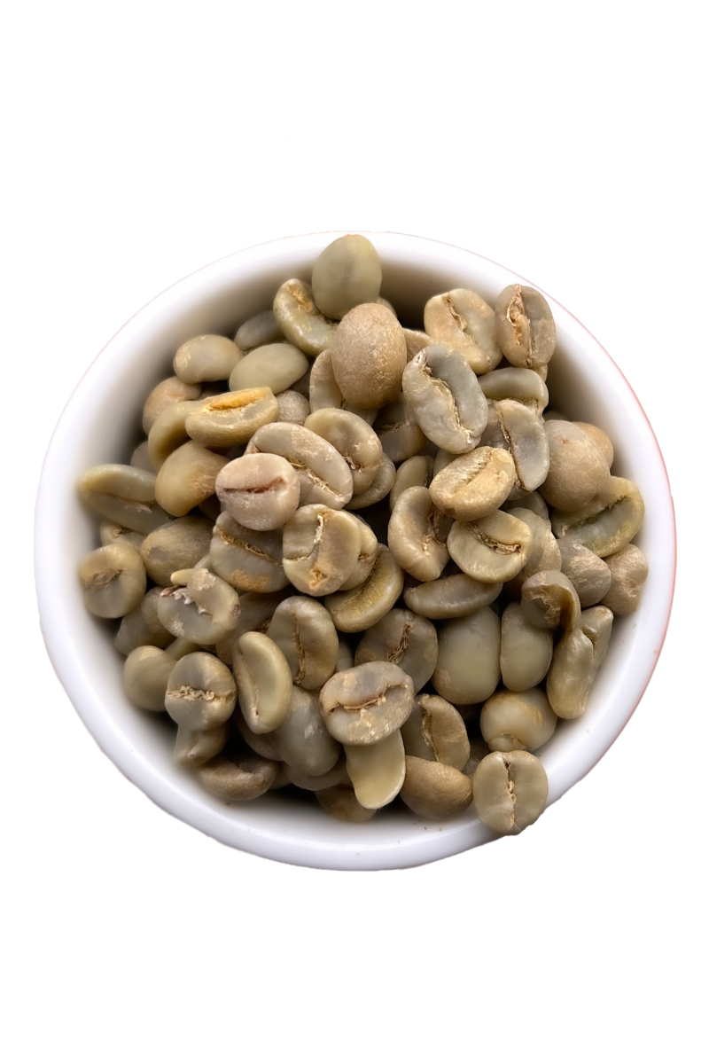 Unroasted Blue Pine Coffee beans from Kolen, Haiti