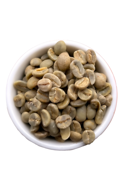 Unroasted Blue Pine Coffee beans from Kolen, Haiti