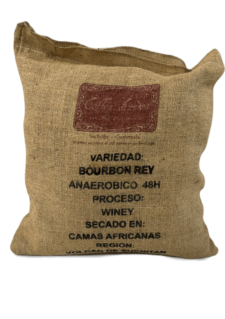 Sac de 10 kg de grains de café vert de spécialité Bourbon Rey du Guatémala, issus de Coffea diversa, Winey - Vente en gros