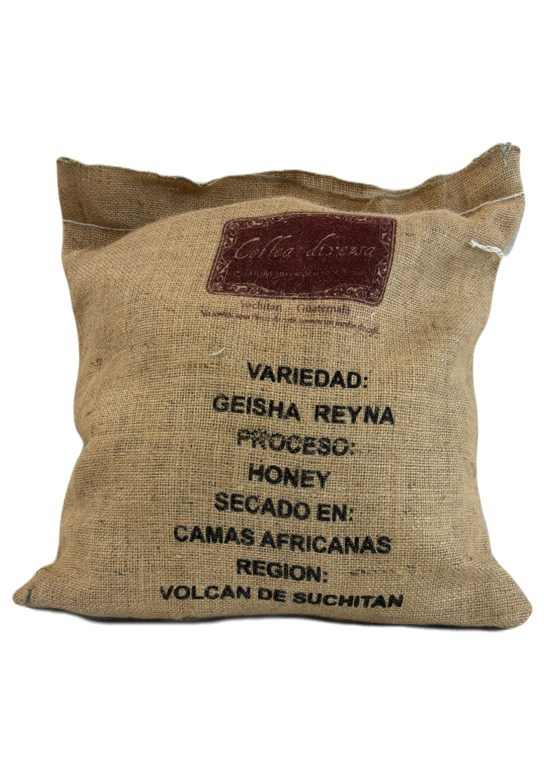 Sac de 10 kg de grains de café vert de spécialité Queen Geisha du Guatémala, issus de Coffea diversa, traitement au miel - Vente en gros