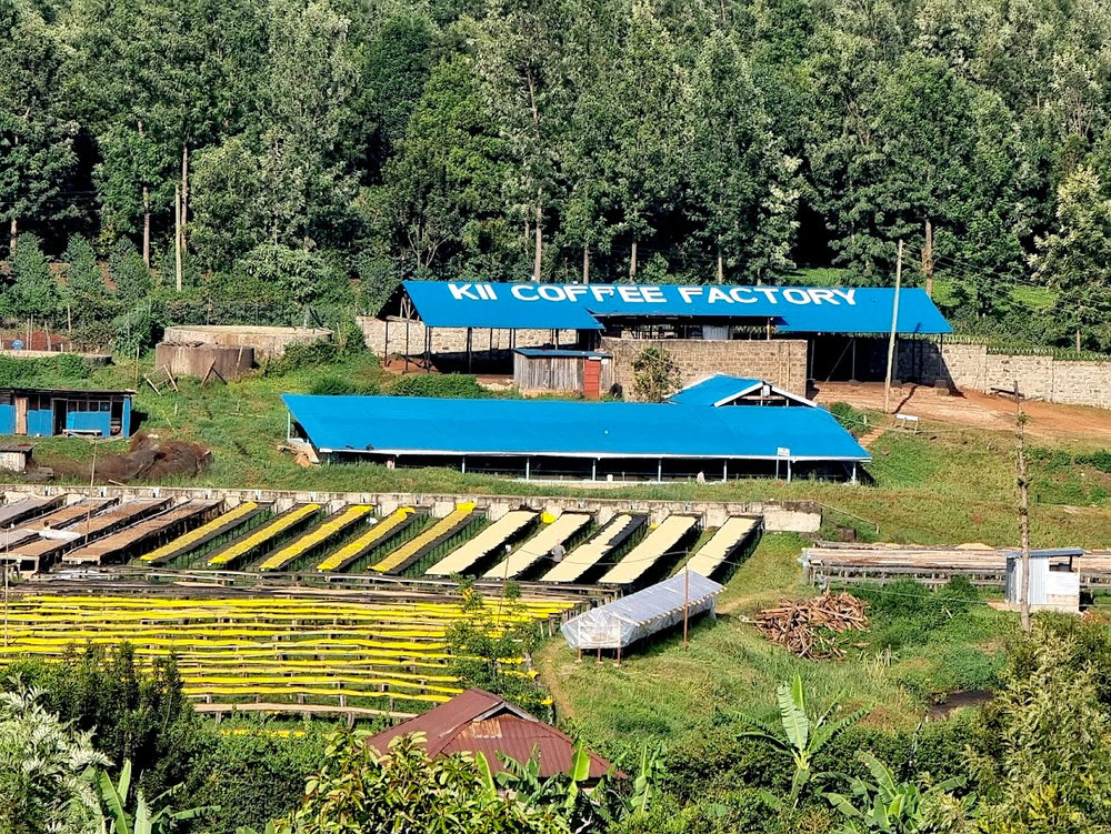 Kii Coffee Factory in Kenya