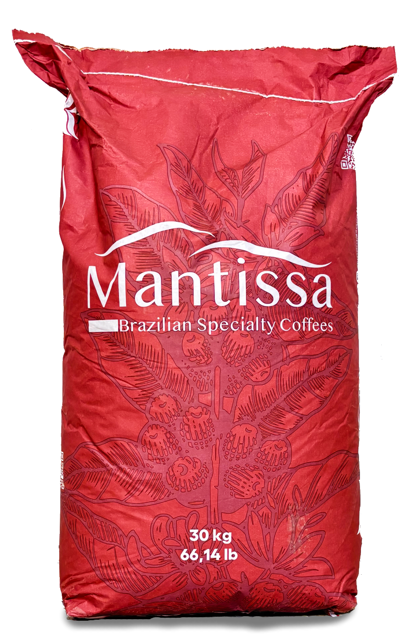 Red Catuai crimson bag from Mantissa Farm in Brazil