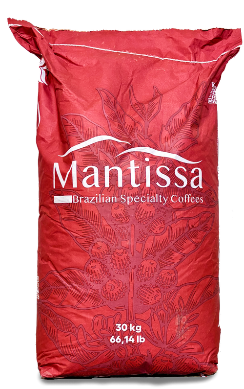 Red Catuai crimson bag from Mantissa Farm in Brazil