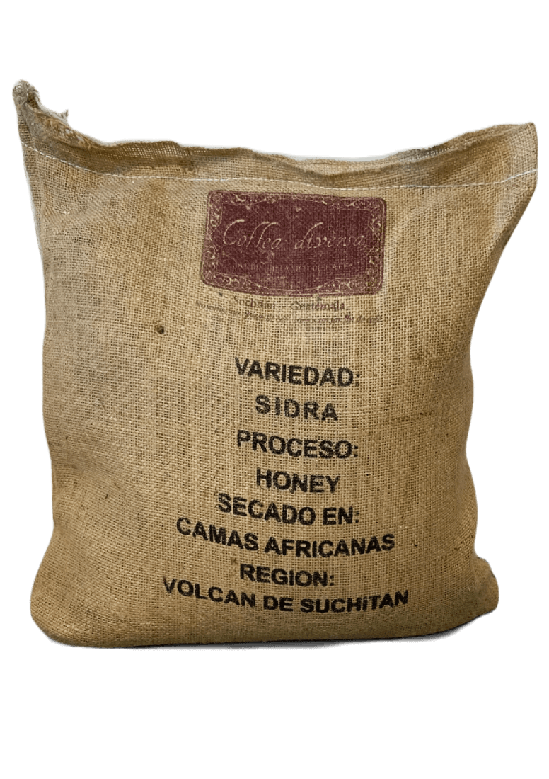 Sac de 10 kg de grains de café vert de spécialité Sidra Honey du Guatémala, issus de Coffea diversa, traitement au miel - Vente en gros