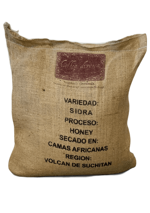 Sac de 10 kg de grains de café vert de spécialité Sidra Honey du Guatémala, issus de Coffea diversa, traitement au miel - Vente en gros